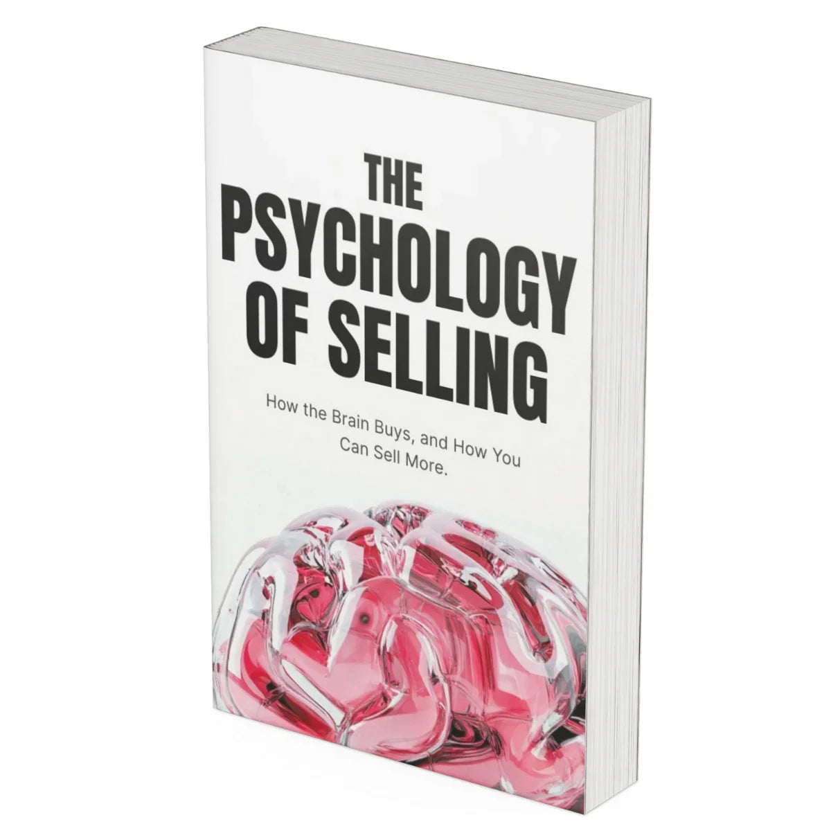 Create Offers That Sell | Pricing & Psychology Made Simple - PLRquality