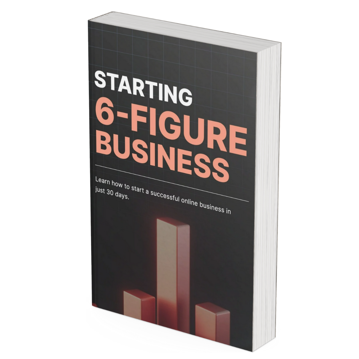 Online Business Blueprint | Start & Scale to Six Figures - PLRquality