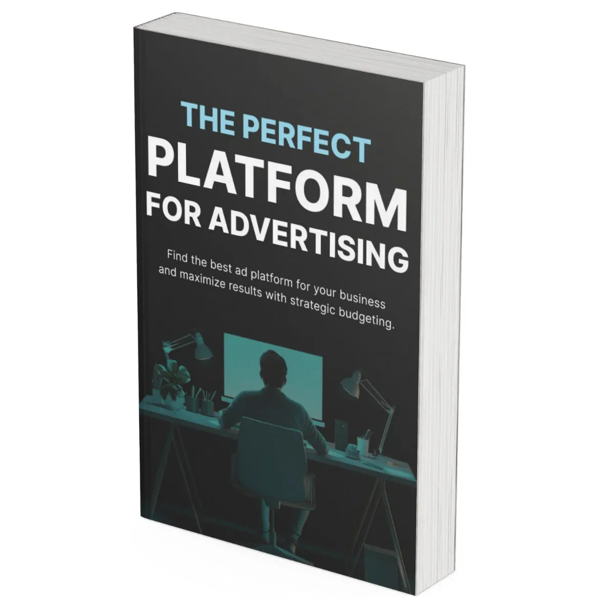 Ad Platform Guide | Pick the Best Ads for Your Business - PLRquality