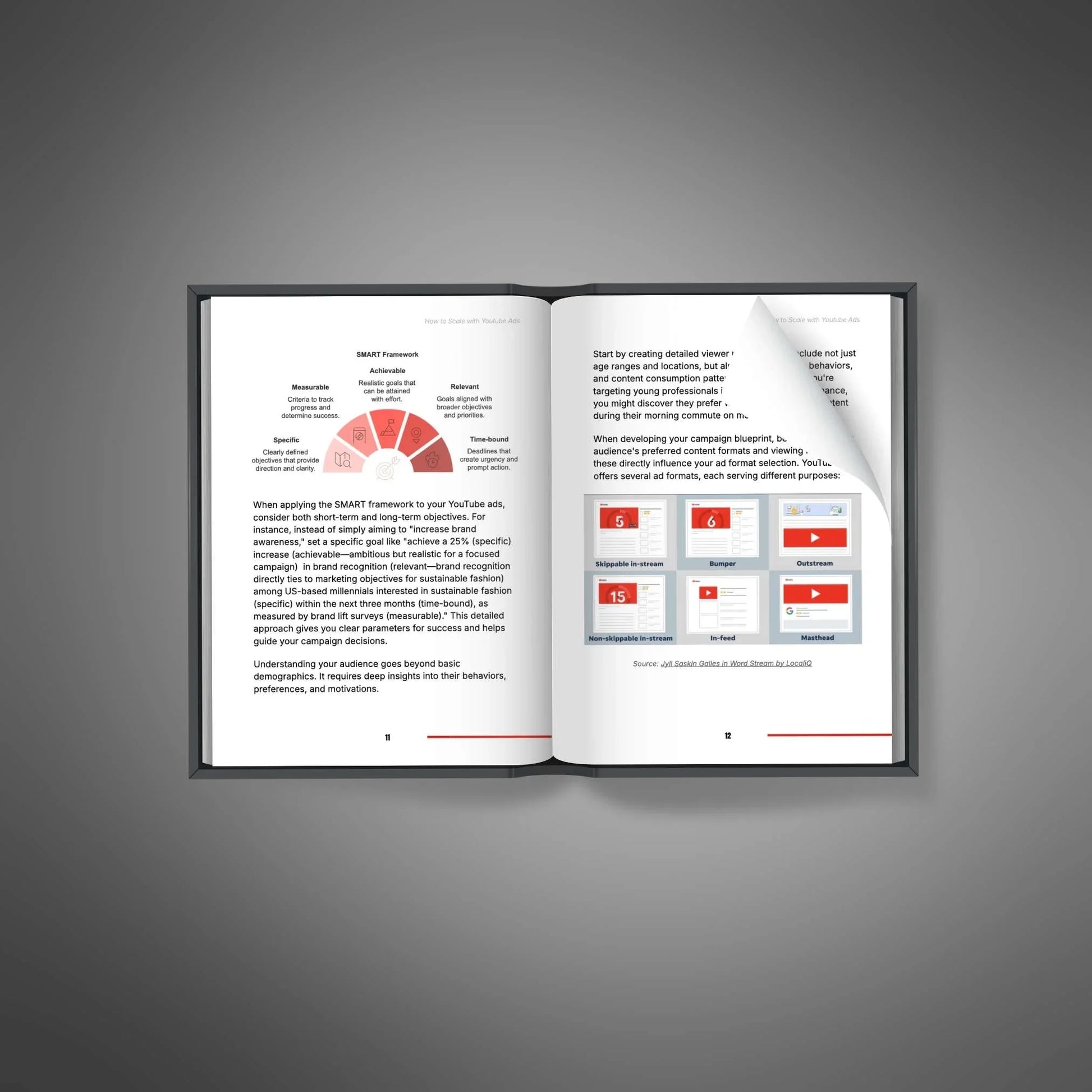 YouTube Ads Guide | Scale Your Business with Video - PLRquality