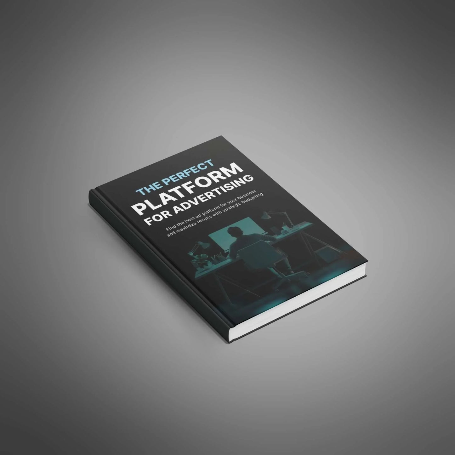 Ad Platform Guide | Pick the Best Ads for Your Business - PLRquality