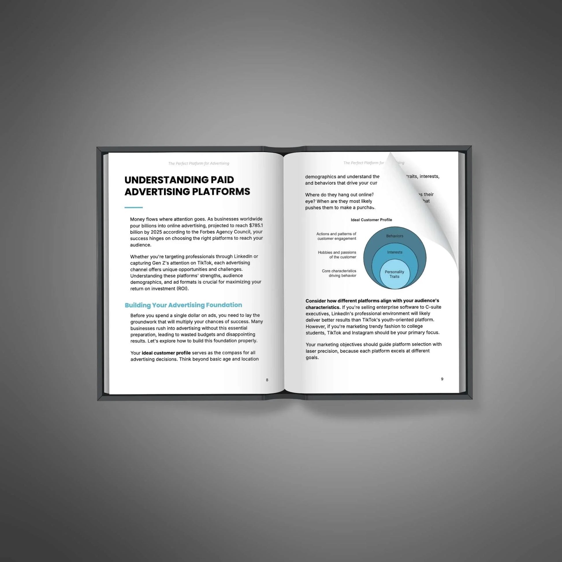 Ad Platform Guide | Pick the Best Ads for Your Business - PLRquality