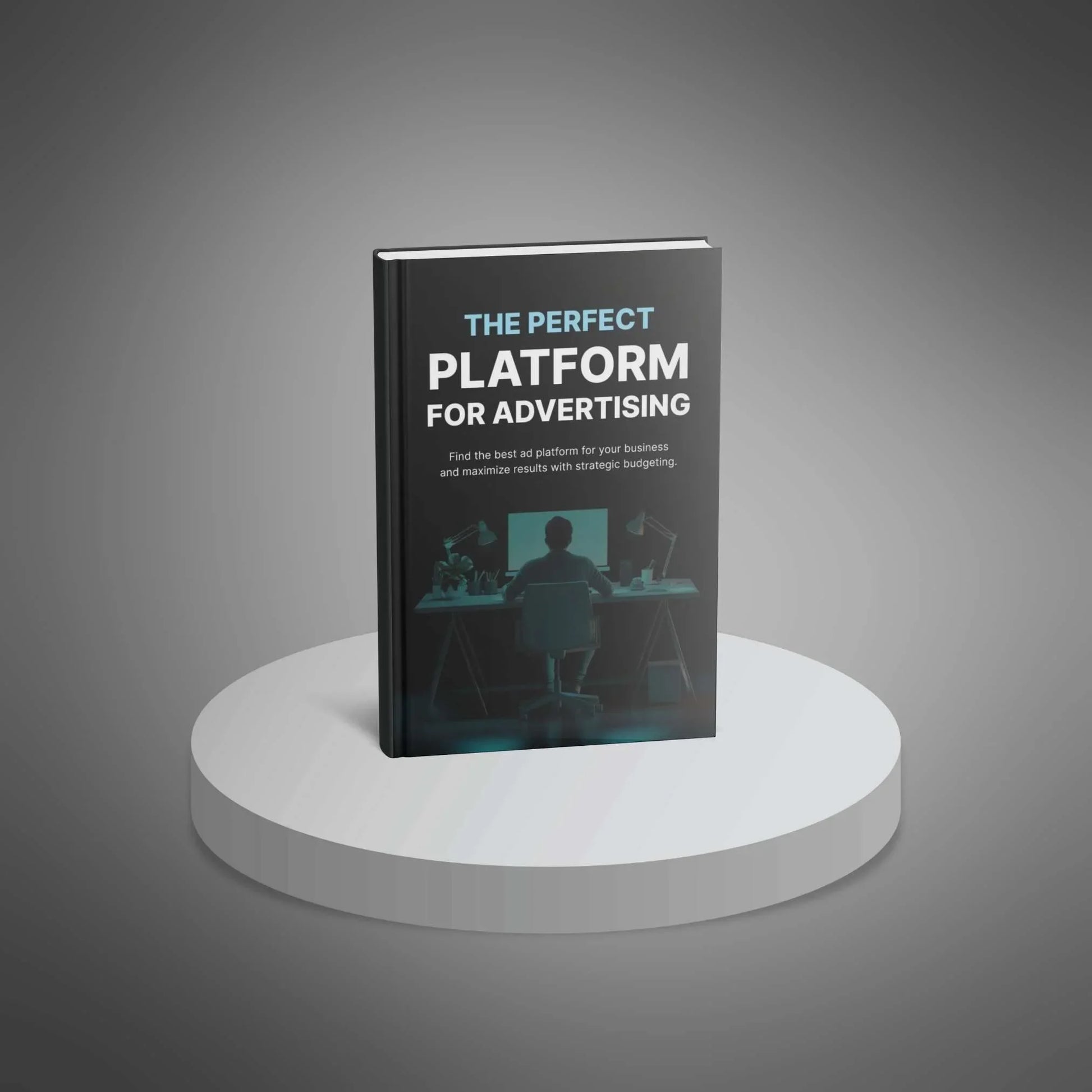 Ad Platform Guide | Pick the Best Ads for Your Business - PLRquality