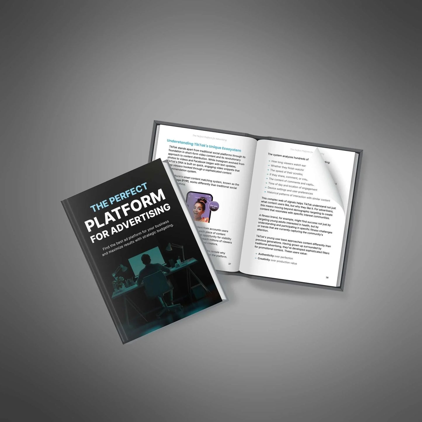 Ad Platform Guide | Pick the Best Ads for Your Business - PLRquality